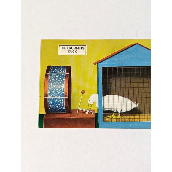 Advertising Postcard Hot Springs Arkansas AR‎ Zoo The Drumming Duck 1960s Paper - Picture 4 of 7